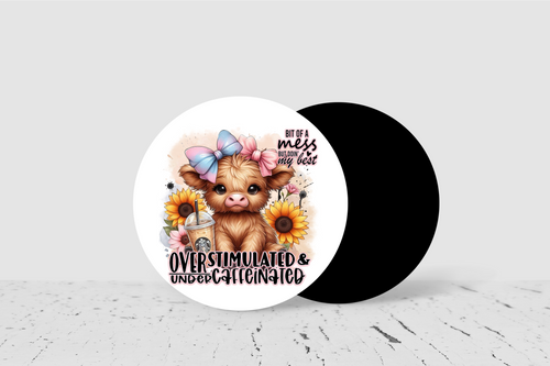 Bit Of A Mess - Large Round Coasters
